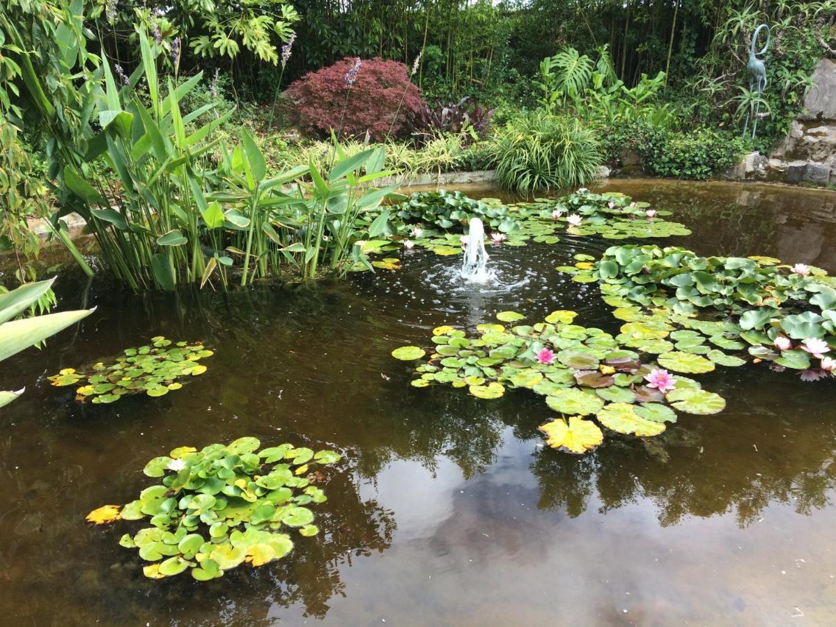 Quinta Das Pedras Belas Exteriör bild